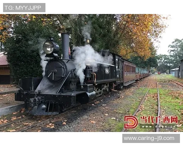 莫火车与柯山红的对决:传统与现代的碰撞与融合之旅 莫火车与柯山红的对决:传统与现代的碰撞与融合之旅